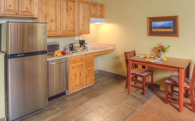 Homewood Suites by Hilton Jackson