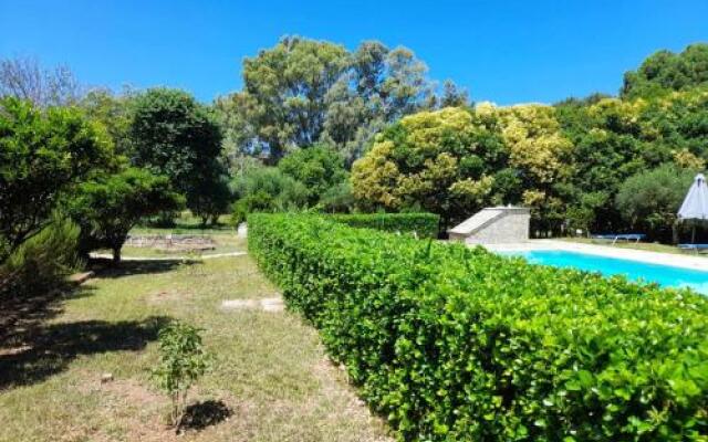 Lemontree Apartments