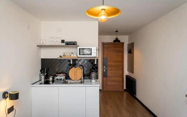 Stylish Studio at Marshall Ski Resort Gudauri