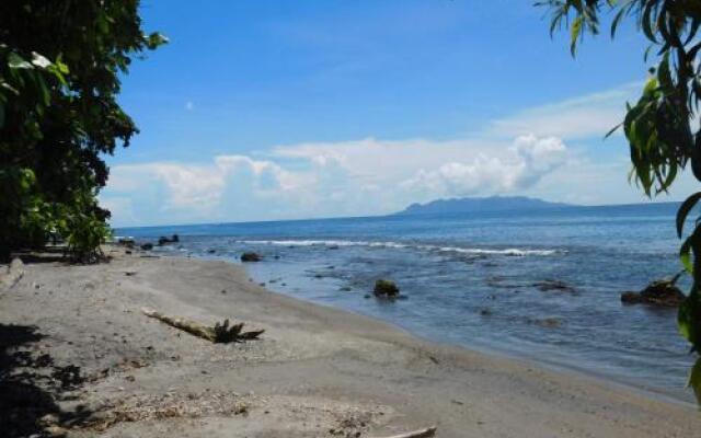 Dolphin View Beach