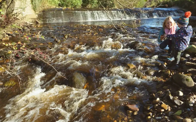 Orchard Glamping -willow Pod