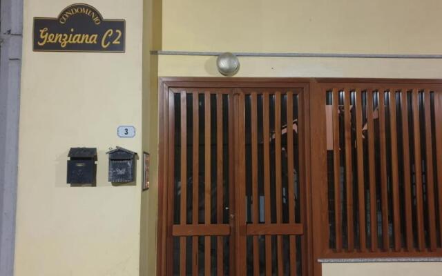 Genziana C2 interno 32