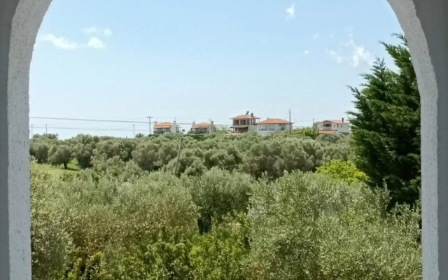 Marios Garden House