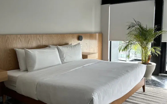 Wynwood House Arquimedes
