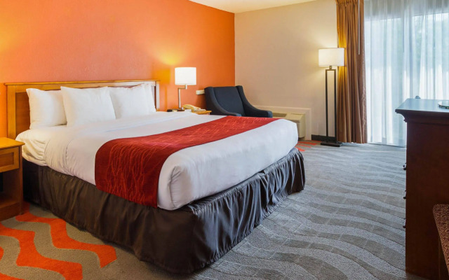 Comfort Inn & Suites Syracuse Airport