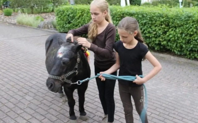 Holiday Home in Germany With Terrace