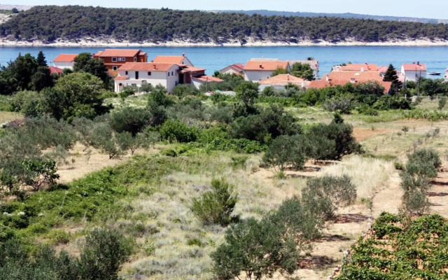 Apartments and rooms with parking space Barbat, Rab - 5070
