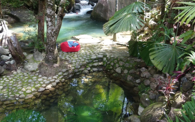 Daintree Secrets Rainforest Sanctuary
