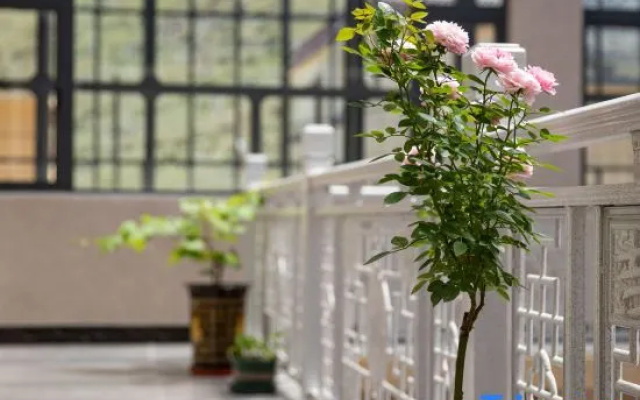 Yichuan Fengjing Homestay – Exterior – Shangri-La