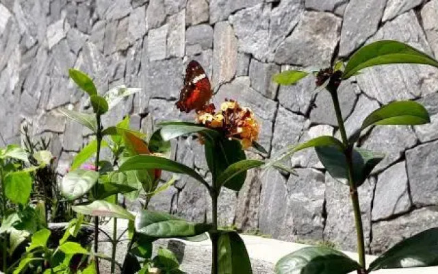 Morada Recanto Das Flores