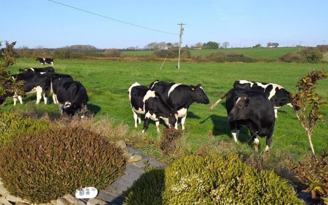 Murphys Irish Farmhouse