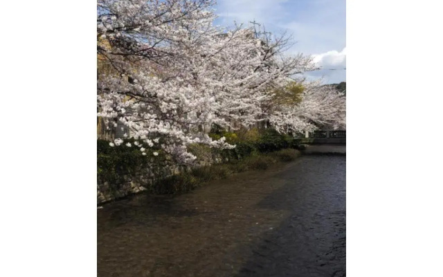 Jeugiya - Vacation STAY 87441v