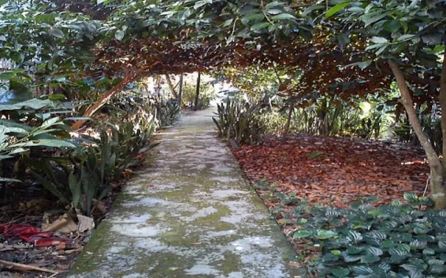 Cai Son Orchard Home Stay – Outside – Can Tho
