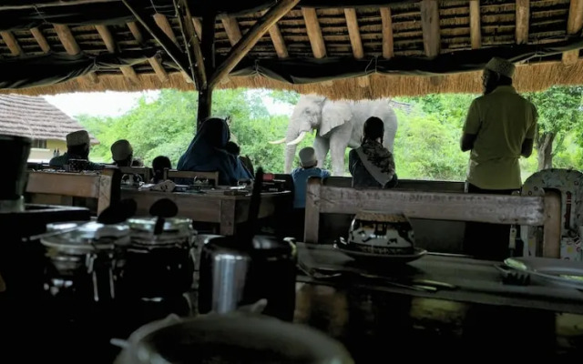 Bwana Tembo Safari Camp