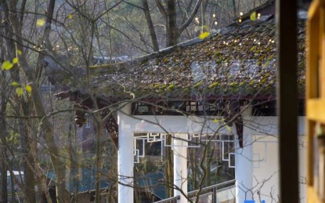 Zunbo Forest Vacation Apartment (Qingcheng Mountain Scenic Area)
