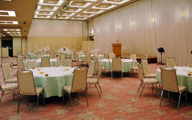 Hotel Castle Plaza Tagajo