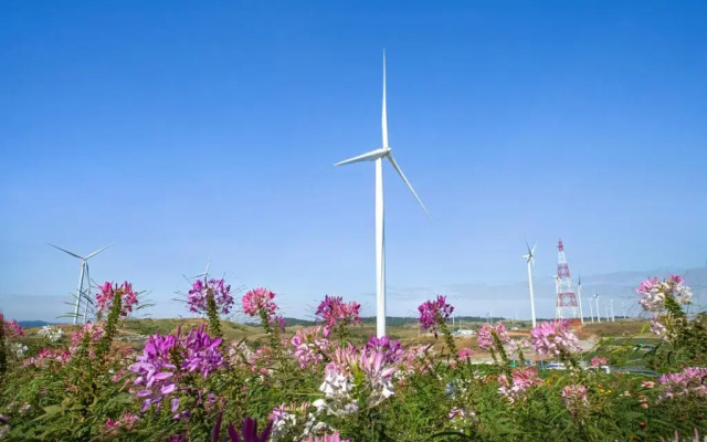 Khaokhoherbary OrganicFarm&Resort