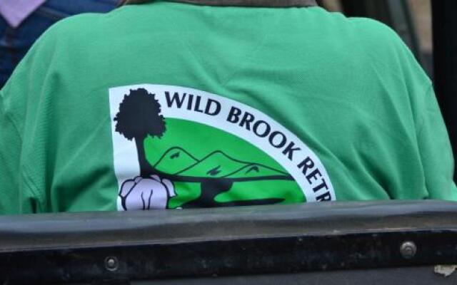 Wild Brook