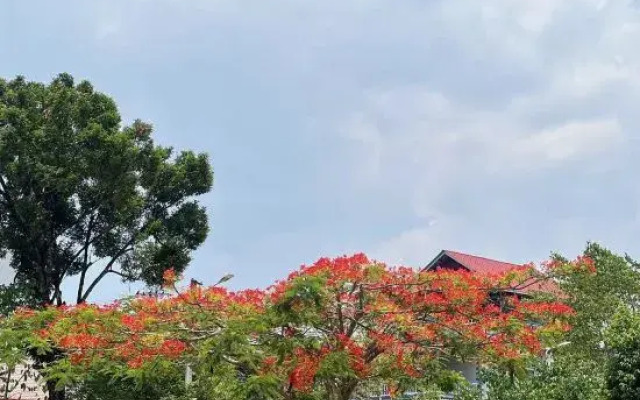 Ruili GuoGuo Esports Hotel（Rosy Cloud CIty）
