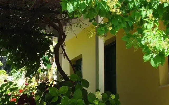 Thalassa View Studios