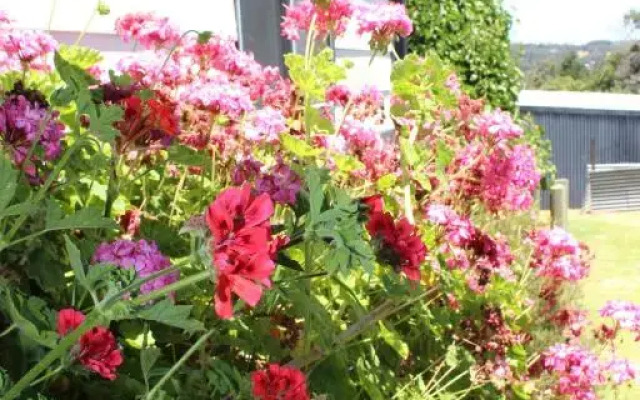 Yvonnes Rest Holiday Home