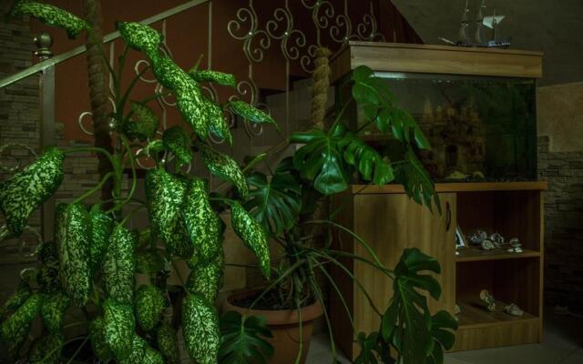 Старая мельница