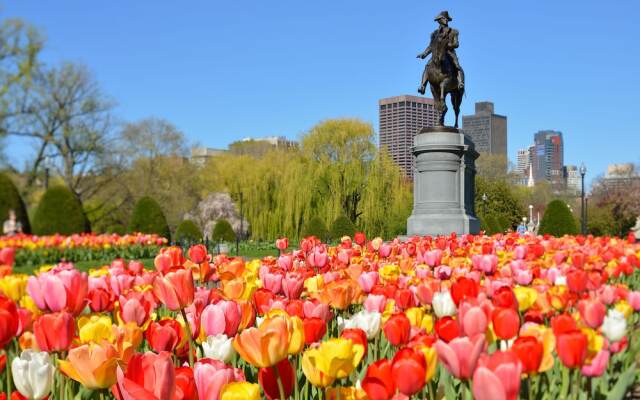 Relaxing One Bedroom Apartment in Back Bay, Boston