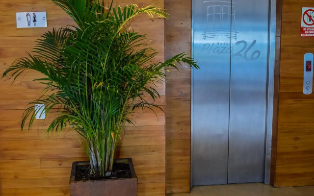 Hotel Charlotte Suite 26