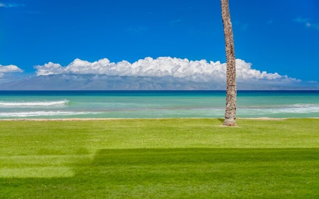 Papakea #f108 1 Bedroom Condo by RedAwning