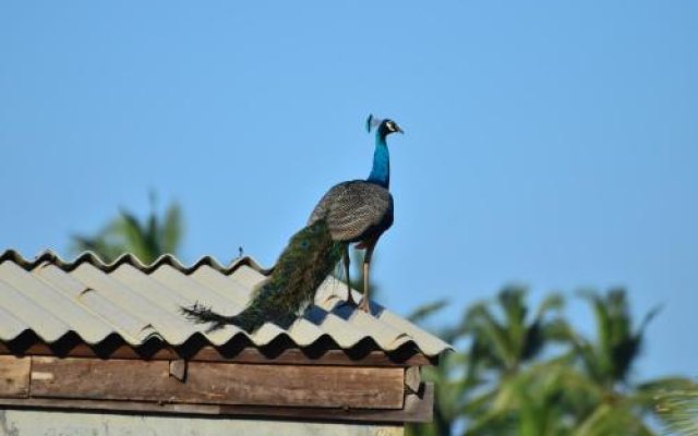 Sea View Deepal Villa