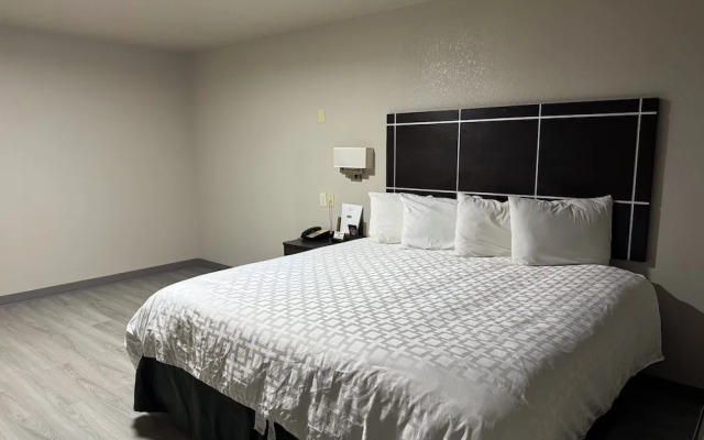 Executive Inn Crystal City