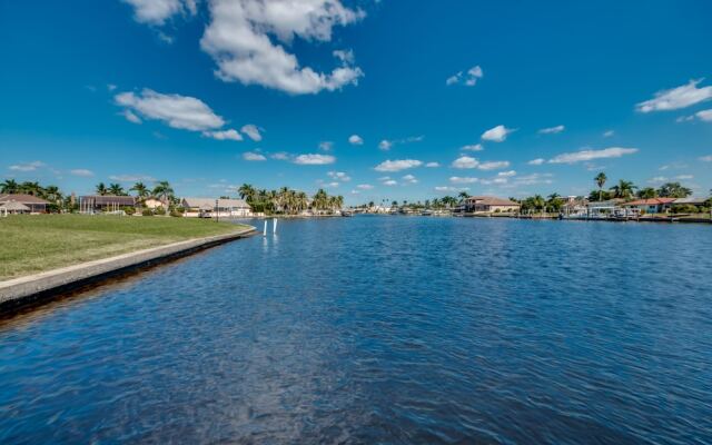 All About The Dolphins - Roelens Vacations