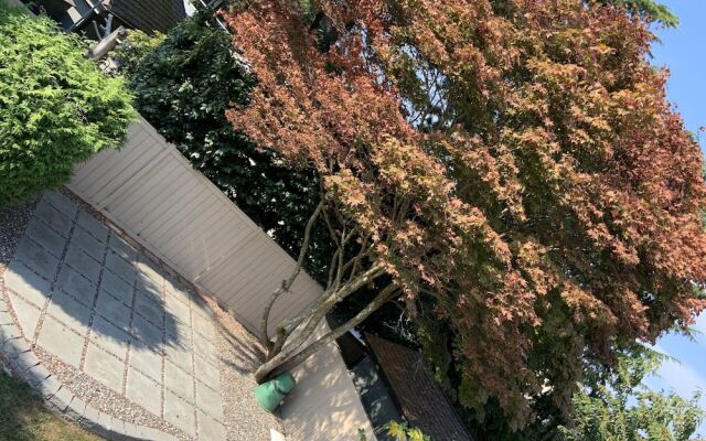 Orchid House near Vancouver YVR Airport