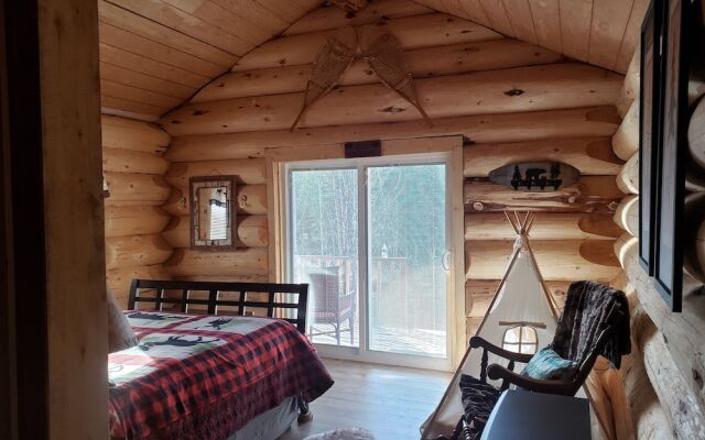 Wrangell Mountain Lodge