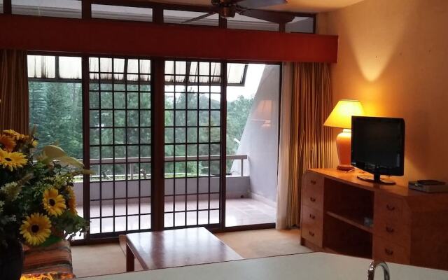 MV Apartment