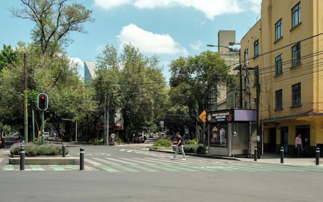 Nido Roma Norte