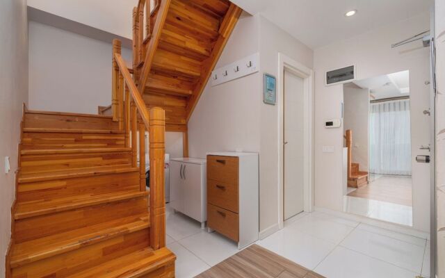 Loi Suite