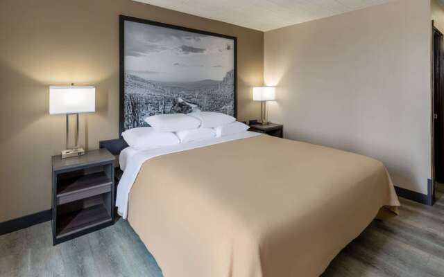 Super 8 by Wyndham Laredo