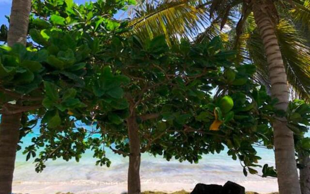 Bequia Beachfront Villa Hotel