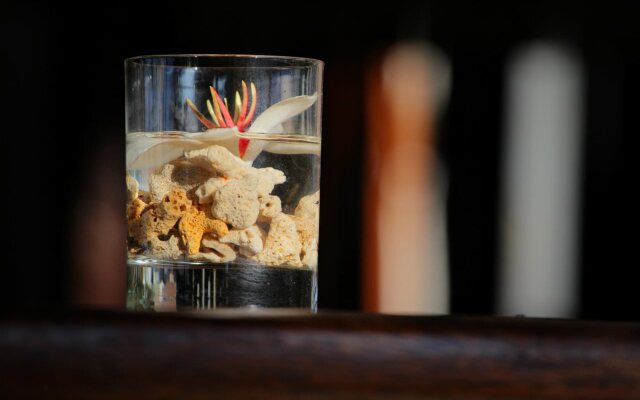 Mangrove Paradise Retreat