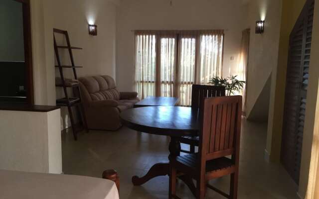 Paddy House Villa