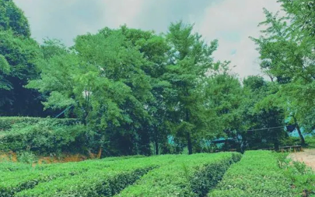 Wudang Chuxing homestay – Outside – Shiyan