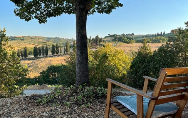 Gatto Bianco Tizzauli