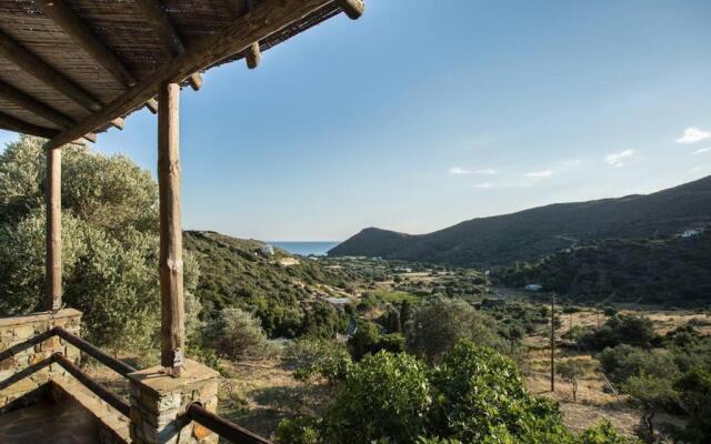 2AG252-House with a pool in Andros