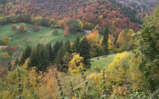 La Casina nella Valle