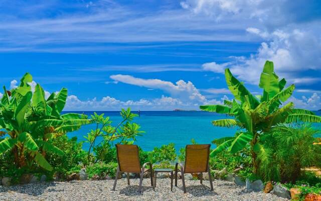 Sea Shore Allure