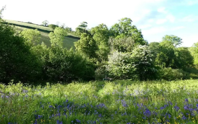 Roundhouse Yurt, Stunning Views, Totnes Dartmouth