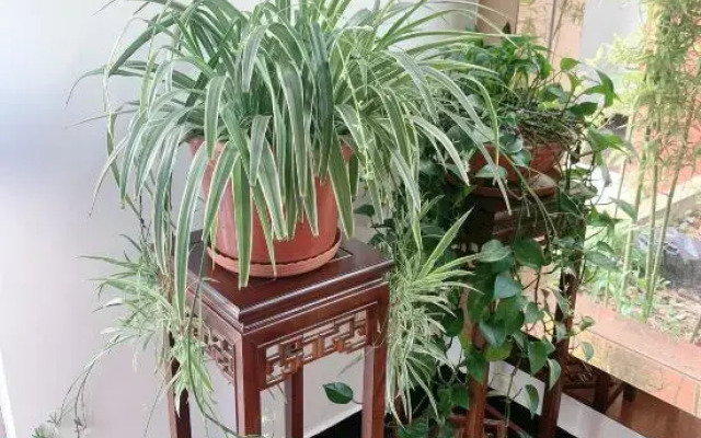 Shanghai Xiangxuan Hotel