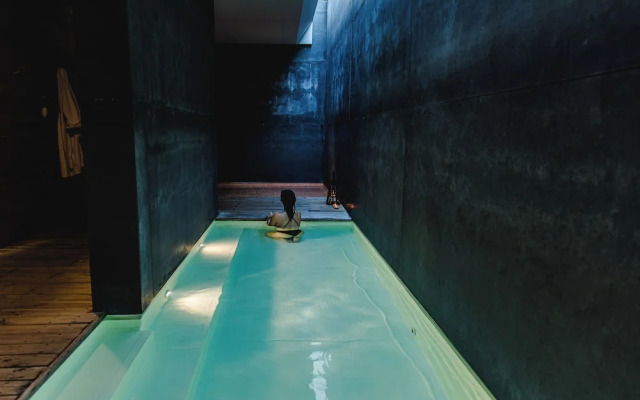 The Nest By Cooking and Nature