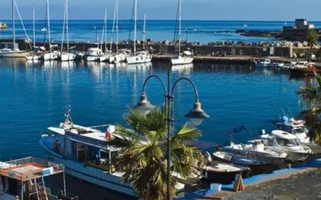 Dammusi Gold - Raffy